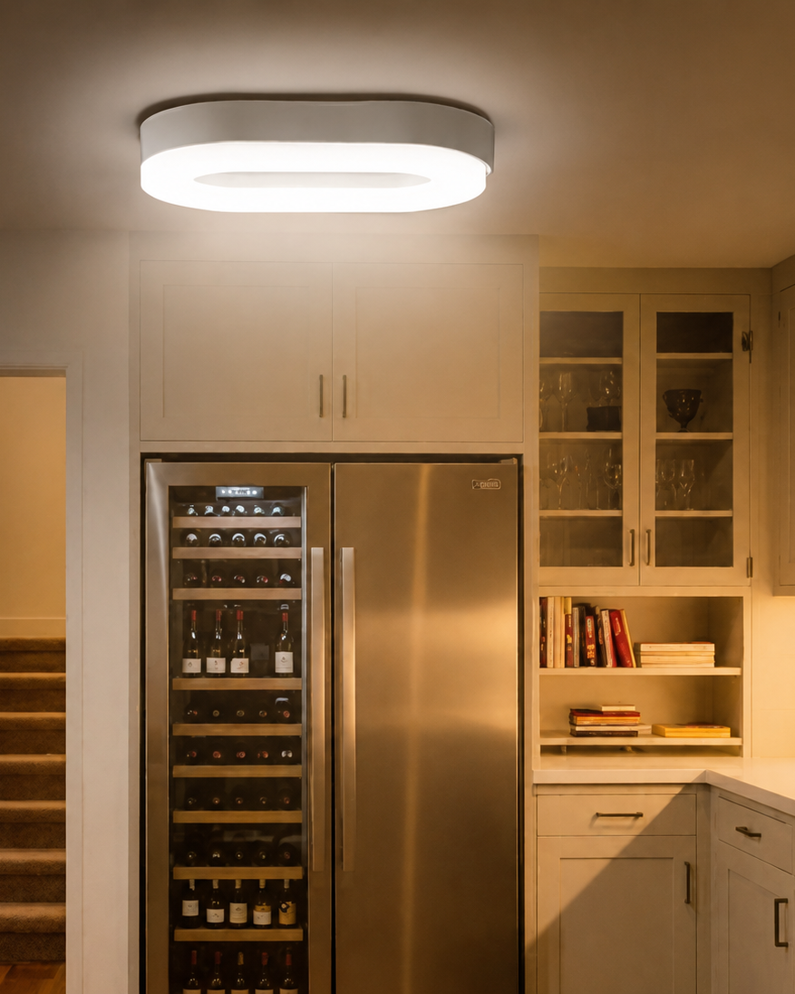 Aplique LED Ovalado Blanco